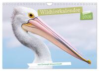 Wildtierkalender (Wandkalender 2026 DIN A4 quer), CALVENDO Monatskalender