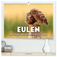 Eulen - Wachsame und geheimnisvolle Augen (hochwertiger Premium Wandkalender 2026 DIN A2 quer), Kunstdruck in Hochglanz