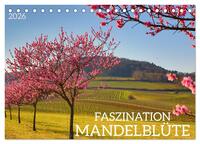 FASZINATION MANDELBLÜTE (Tischkalender 2026 DIN A5 quer), CALVENDO Monatskalender
