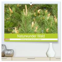Naturwunder Wald (hochwertiger Premium Wandkalender 2026 DIN A2 quer), Kunstdruck in Hochglanz