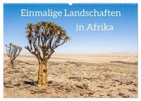 Einmalige Landschaften in Afrika (Wandkalender 2026 DIN A2 quer), CALVENDO Monatskalender