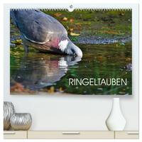 Ringeltauben (hochwertiger Premium Wandkalender 2026 DIN A2 quer), Kunstdruck in Hochglanz