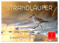 Strandläufer - immer flink unterwegs (Wandkalender 2026 DIN A3 quer), CALVENDO Monatskalender