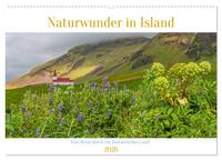 Naturwunder in Island (Wandkalender 2026 DIN A2 quer), CALVENDO Monatskalender