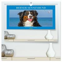 Berner Sennenhund - Ein Freund auf vier Pfoten (hochwertiger Premium Wandkalender 2026 DIN A2 quer), Kunstdruck in Hochglanz
