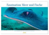 Faszination Meer und Fische (Wandkalender 2026 DIN A2 quer), CALVENDO Monatskalender
