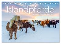 Islandpferde - Die süßen Pferde im Norden. (Tischkalender 2026 DIN A5 quer), CALVENDO Monatskalender