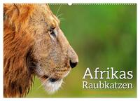Afrikas Raubkatzen in eindrucksvollen Portraits (Wandkalender 2026 DIN A2 quer), CALVENDO Monatskalender