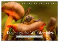 Die magische Welt der Pilze (Tischkalender 2026 DIN A5 quer), CALVENDO Monatskalender