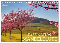 FASZINATION MANDELBLÜTE (Wandkalender 2026 DIN A4 quer), CALVENDO Monatskalender