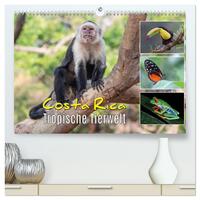 Costa Rica - Tropische Tierwelt (hochwertiger Premium Wandkalender 2026 DIN A2 quer), Kunstdruck in Hochglanz