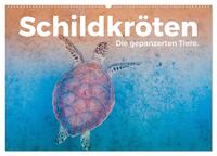 Schildkröten - Die gepanzerten Tiere. (Wandkalender 2026 DIN A2 quer), CALVENDO Monatskalender