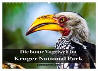 Die bunte Vogelwelt im Kruger National Park (Wandkalender 2026 DIN A2 quer), CALVENDO Monatskalender