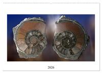 Versteinerte Welt (Wandkalender 2026 DIN A2 quer), CALVENDO Monatskalender