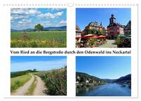Vom Ried an die Bergstraße, durch den Odenwald ins Neckartal (Wandkalender 2026 DIN A3 quer), CALVENDO Monatskalender