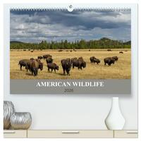 American Wildlife (hochwertiger Premium Wandkalender 2026 DIN A2 quer), Kunstdruck in Hochglanz