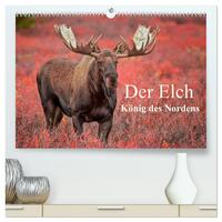 Der Elch - König des Nordens (hochwertiger Premium Wandkalender 2026 DIN A2 quer), Kunstdruck in Hochglanz
