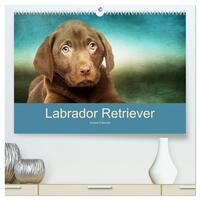 Labrador Retriever unsere Freunde (hochwertiger Premium Wandkalender 2026 DIN A2 quer), Kunstdruck in Hochglanz