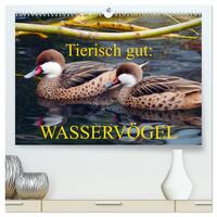 Tierisch gut: Wasservögel (hochwertiger Premium Wandkalender 2026 DIN A2 quer), Kunstdruck in Hochglanz