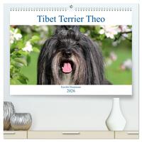 Tibet Terrier Theo (hochwertiger Premium Wandkalender 2026 DIN A2 quer), Kunstdruck in Hochglanz
