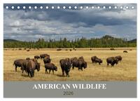 American Wildlife (Tischkalender 2026 DIN A5 quer), CALVENDO Monatskalender