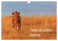 Tierparadies Kenia (Wandkalender 2026 DIN A4 quer), CALVENDO Monatskalender