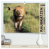 Raubkatzen - Löwe, Gepard, Leopard (hochwertiger Premium Wandkalender 2026 DIN A2 quer), Kunstdruck in Hochglanz