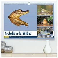 Krokodile in der Wildnis (hochwertiger Premium Wandkalender 2026 DIN A2 quer), Kunstdruck in Hochglanz