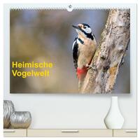 Heimische Vogelwelt (hochwertiger Premium Wandkalender 2026 DIN A2 quer), Kunstdruck in Hochglanz