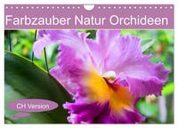Farbzauber Natur Orchideen - CH Version (Wandkalender 2026 DIN A4 quer), CALVENDO Monatskalender