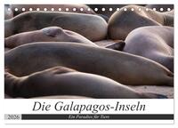 Galapagos-Inseln - Ein Paradies für Tiere (Tischkalender 2026 DIN A5 quer), CALVENDO Monatskalender
