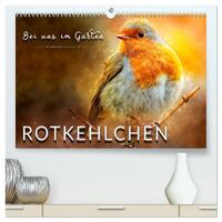 Bei uns im Garten - Rotkehlchen (hochwertiger Premium Wandkalender 2026 DIN A2 quer), Kunstdruck in Hochglanz