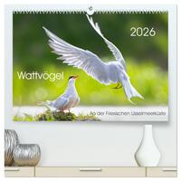 Wattvögel an der Friesischen IJsselmeerküste (hochwertiger Premium Wandkalender 2026 DIN A2 quer), Kunstdruck in Hochglanz