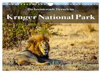 Faszinierende Tierwelt des Kruger National Parks (Wandkalender 2026 DIN A4 quer), CALVENDO Monatskalender