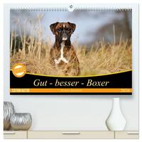 Gut - besser - Boxer (hochwertiger Premium Wandkalender 2026 DIN A2 quer), Kunstdruck in Hochglanz