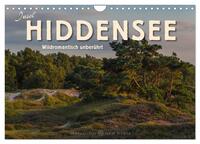 Insel Hiddensee - Wildromantisch unberührt (Wandkalender 2026 DIN A4 quer), CALVENDO Monatskalender