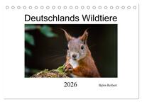 Deutschlands Wildtiere (Tischkalender 2026 DIN A5 quer), CALVENDO Monatskalender