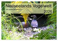 Neuseelands Vogelwelt (Wandkalender 2026 DIN A3 quer), CALVENDO Monatskalender