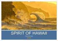 SPIRIT OF HAWAII (Wandkalender 2026 DIN A2 quer), CALVENDO Monatskalender