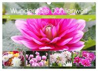 Wunderbare Dahlienwelt (Wandkalender 2026 DIN A3 quer), CALVENDO Monatskalender