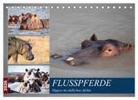 Hippos im südlichen Afrika (Tischkalender 2026 DIN A5 quer), CALVENDO Monatskalender