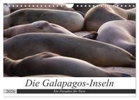 Galapagos-Inseln - Ein Paradies für Tiere (Wandkalender 2026 DIN A4 quer), CALVENDO Monatskalender