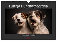 Fang das Leckerlie (Wandkalender 2026 DIN A3 quer), CALVENDO Monatskalender