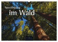 Spaziergang im Wald (Wandkalender 2026 DIN A2 quer), CALVENDO Monatskalender