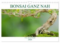 Bonsai ganz nah (Wandkalender 2026 DIN A4 quer), CALVENDO Monatskalender