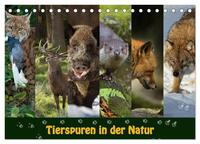 Tierspuren in der Natur (Tischkalender 2026 DIN A5 quer), CALVENDO Monatskalender