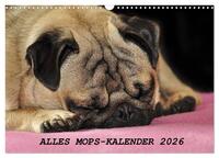 Alles Mops-Kalender 2026 (Wandkalender 2026 DIN A3 quer), CALVENDO Monatskalender