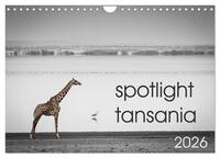 spotlight tansania (Wandkalender 2026 DIN A4 quer), CALVENDO Monatskalender