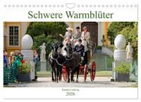 Schwere Warmblüter 2026 (Wandkalender 2026 DIN A4 quer), CALVENDO Monatskalender