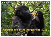 Ugandas friedliche Berggorillas (Tischkalender 2026 DIN A5 quer), CALVENDO Monatskalender